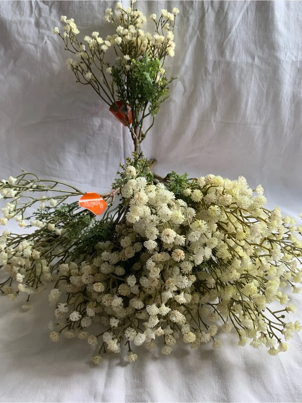 Ashland delicate cream